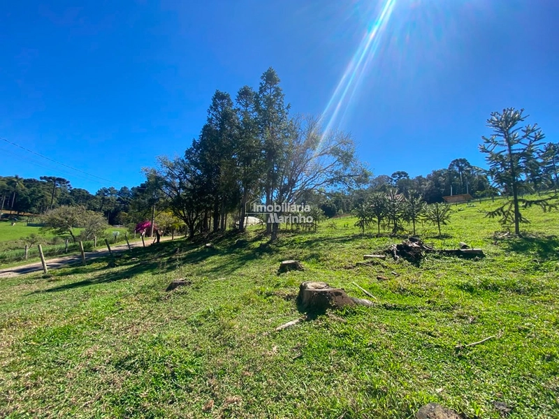 Terreno à venda no Saltinho – Campo Alegre/SC: 8ª foto da galeria de imagens do imóvel