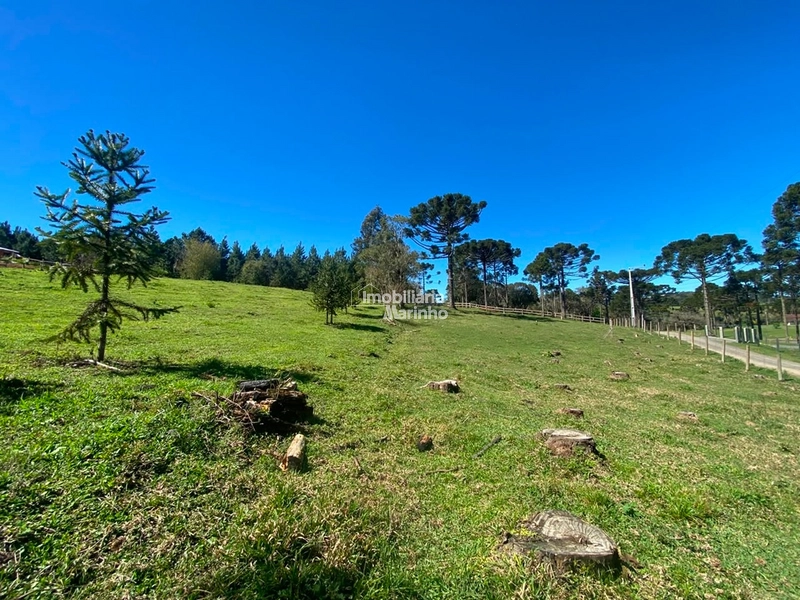 Terreno à venda no Saltinho – Campo Alegre/SC: 9ª foto da galeria de imagens do imóvel