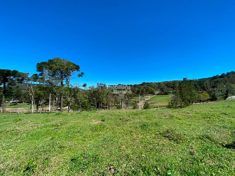 Terreno à venda no Saltinho – Campo Alegre/SC: 2ª foto da galeria de imagens do imóvel