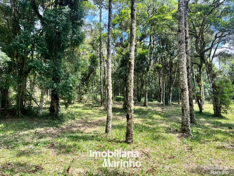 null: 14ª foto da galeria de imagens do imóvel