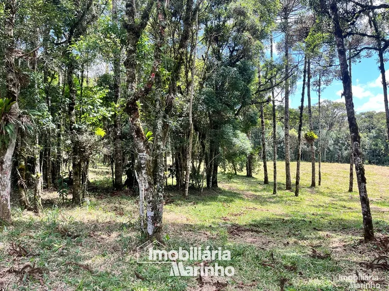 null: 12ª foto da galeria de imagens do imóvel