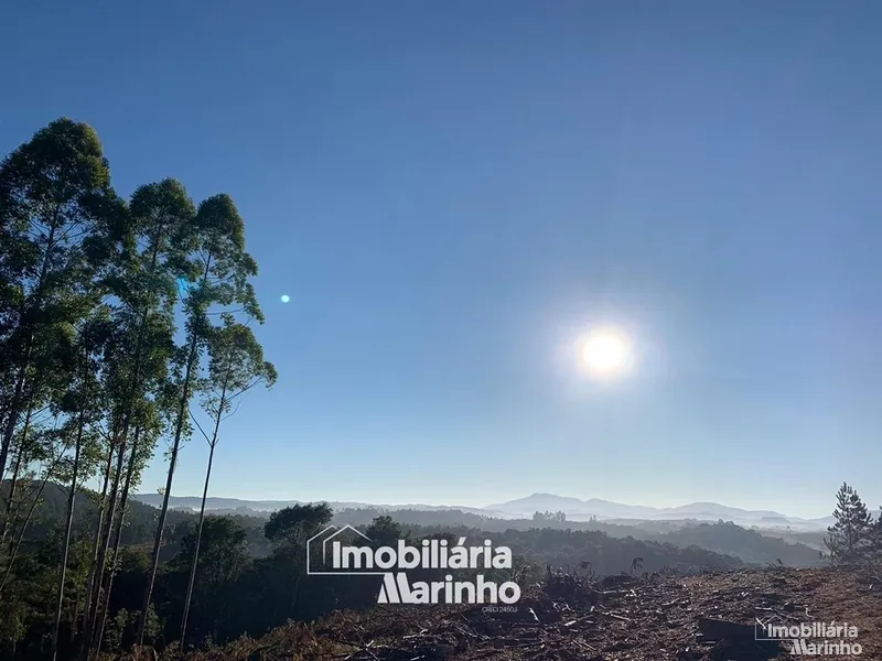 null: 3ª foto da galeria de imagens do imóvel
