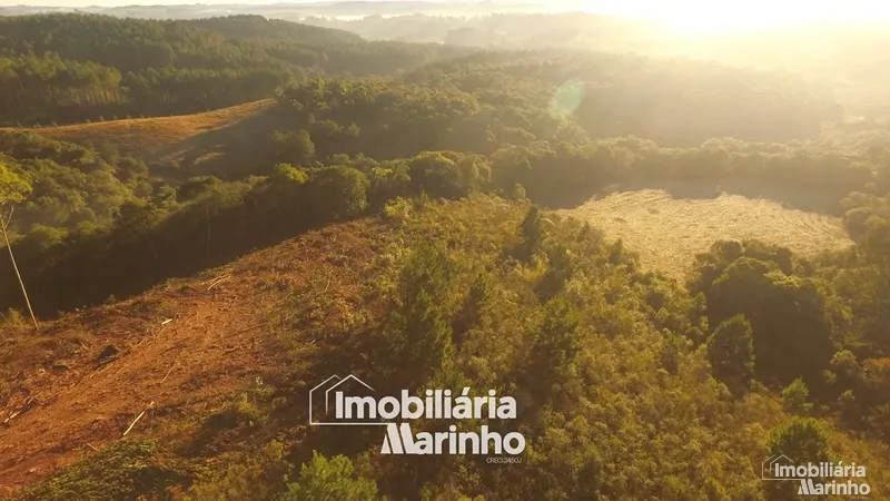 null: 8ª foto da galeria de imagens do imóvel