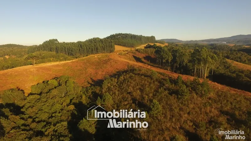 null: 10ª foto da galeria de imagens do imóvel