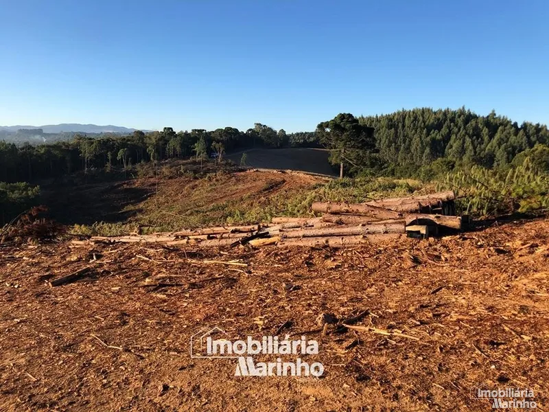 null: 11ª foto da galeria de imagens do imóvel