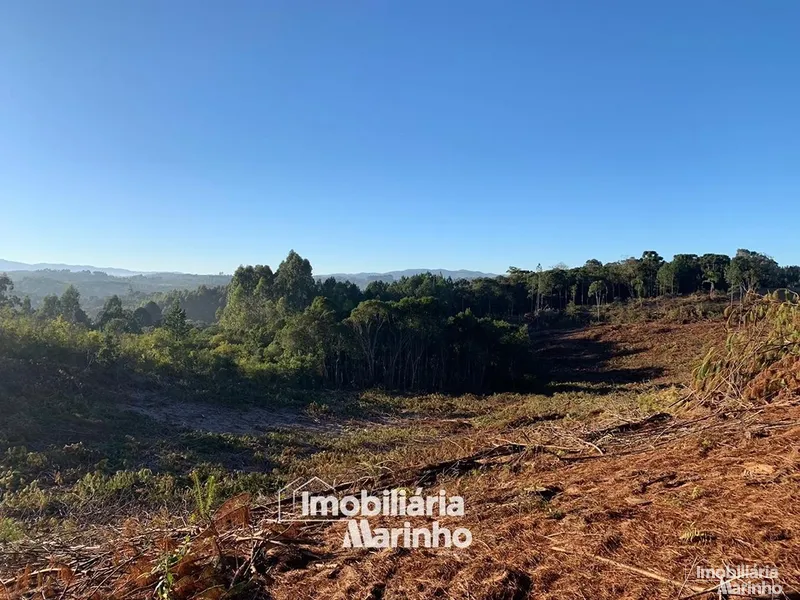 null: 22ª foto da galeria de imagens do imóvel