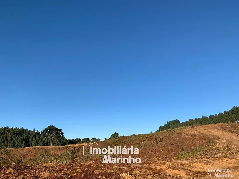 null: 4ª foto da galeria de imagens do imóvel