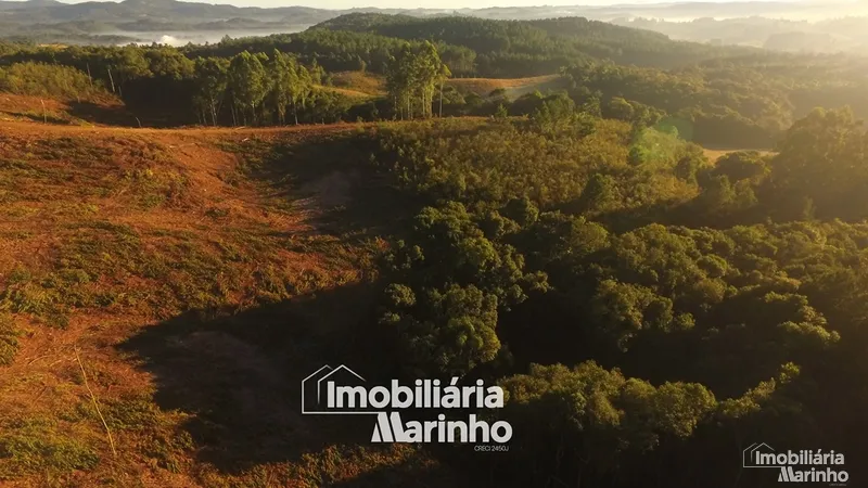 null: 28ª foto da galeria de imagens do imóvel