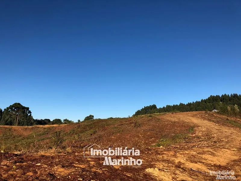 null: 16ª foto da galeria de imagens do imóvel