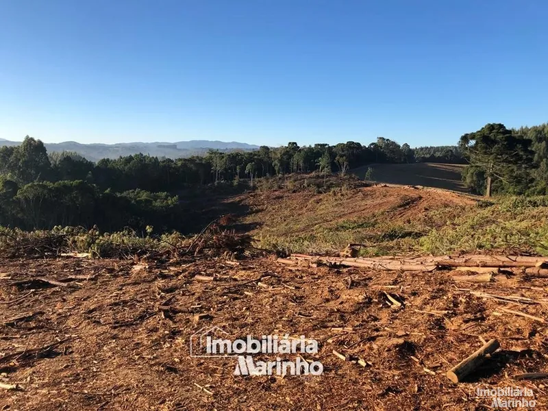 null: 15ª foto da galeria de imagens do imóvel