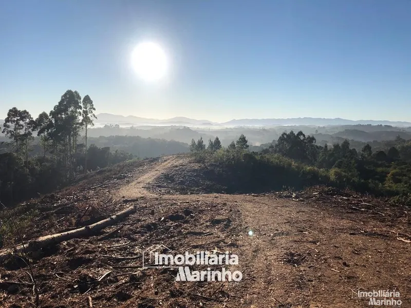 null: 12ª foto da galeria de imagens do imóvel