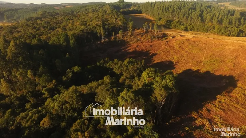 null: 7ª foto da galeria de imagens do imóvel