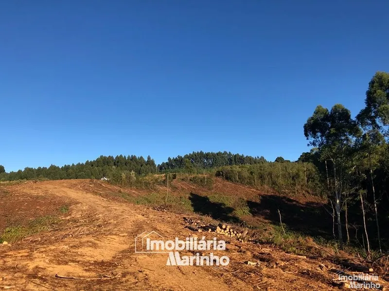 null: 17ª foto da galeria de imagens do imóvel