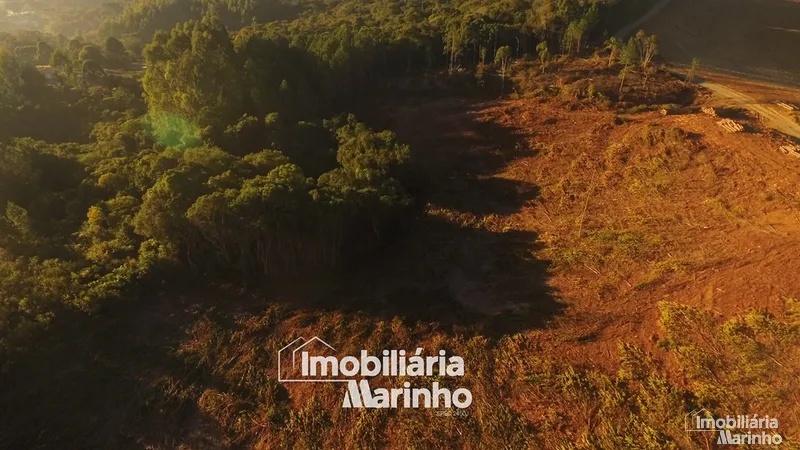 null: 26ª foto da galeria de imagens do imóvel
