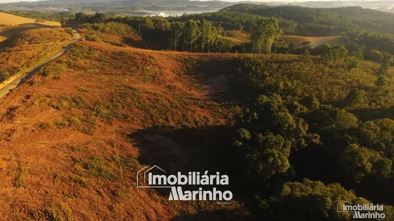 null: 27ª foto da galeria de imagens do imóvel