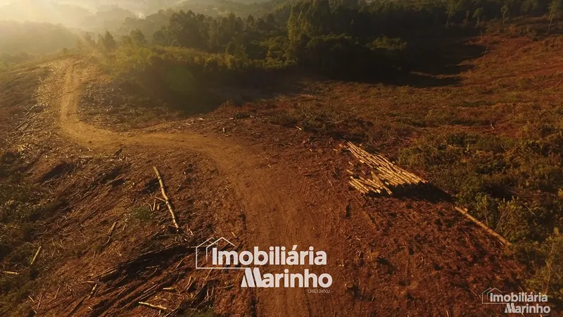 null: 25ª foto da galeria de imagens do imóvel