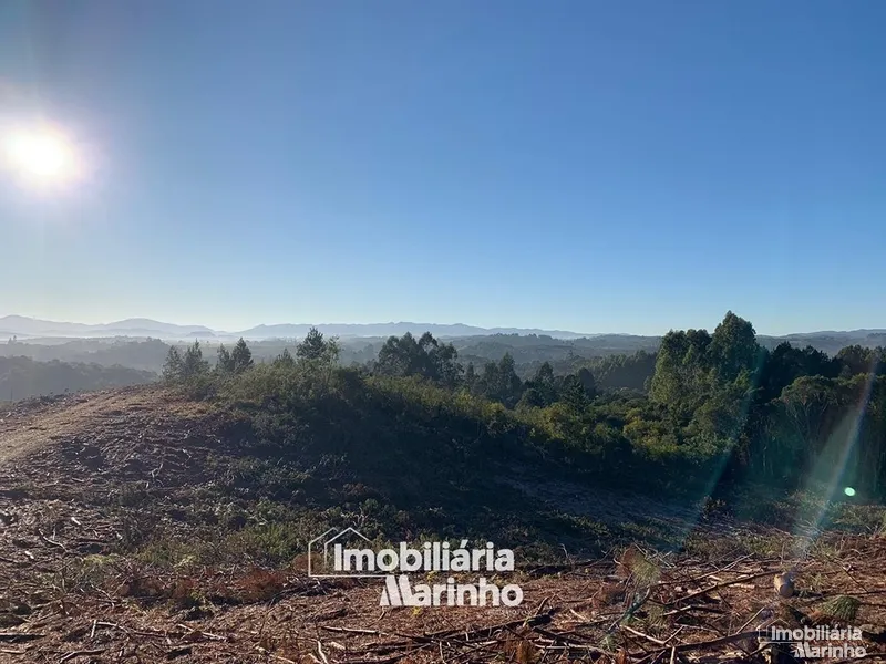 null: 20ª foto da galeria de imagens do imóvel