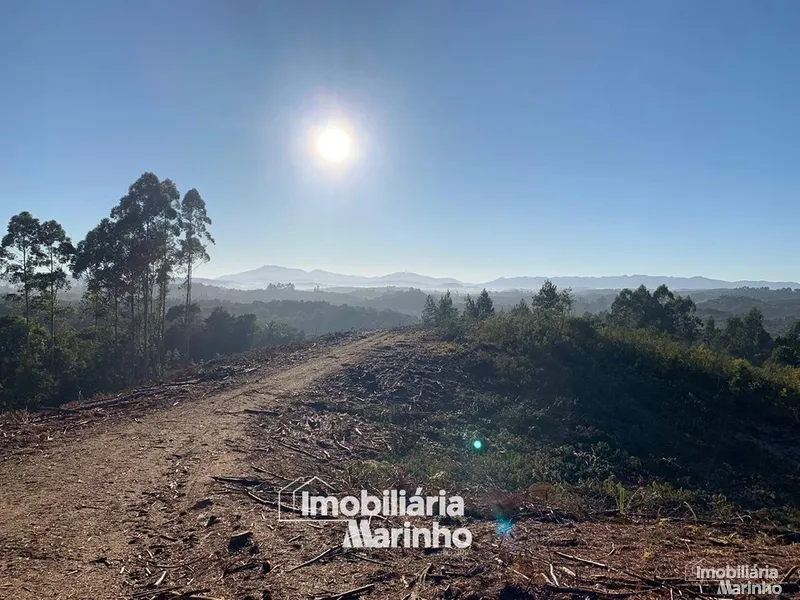 null: 23ª foto da galeria de imagens do imóvel