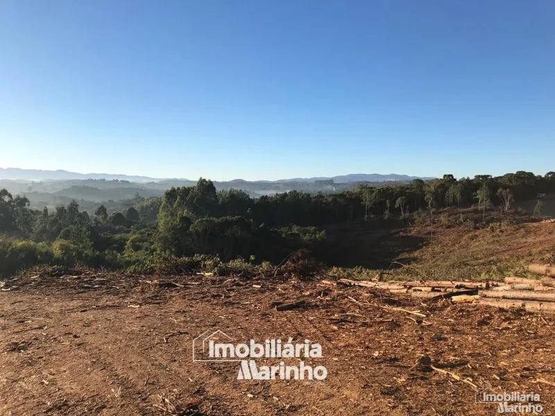 null: 13ª foto da galeria de imagens do imóvel
