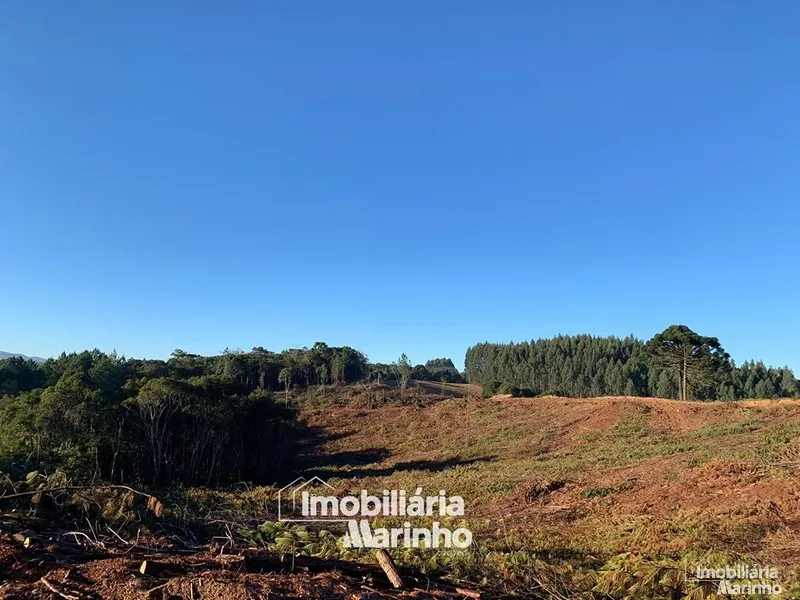 null: 2ª foto da galeria de imagens do imóvel