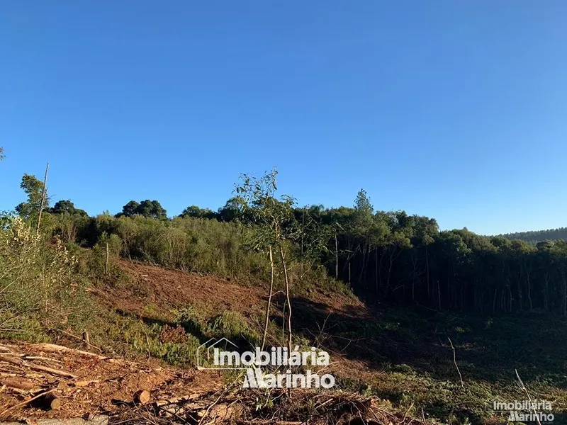 null: 21ª foto da galeria de imagens do imóvel