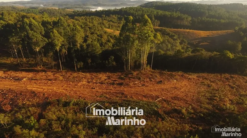 null: 9ª foto da galeria de imagens do imóvel