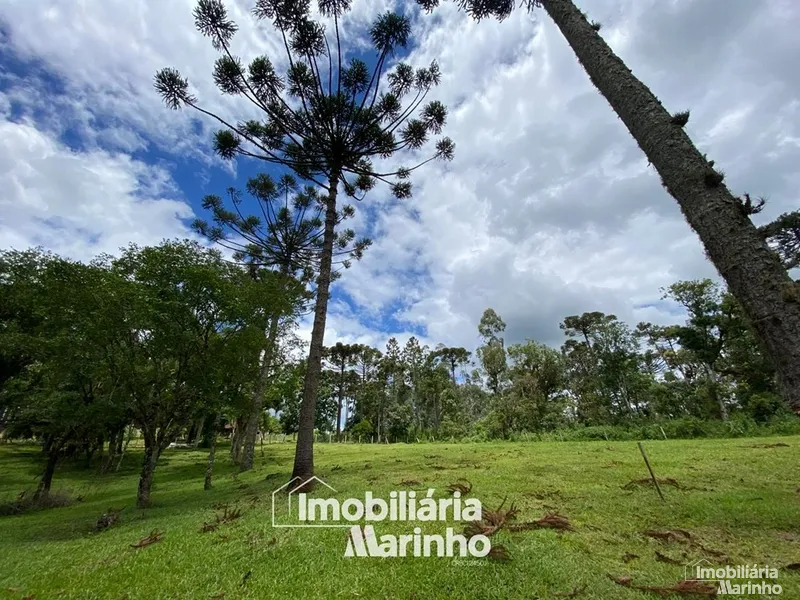 null: 11ª foto da galeria de imagens do imóvel