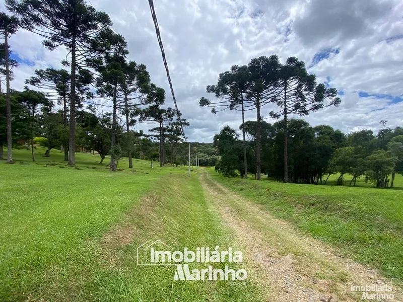 null: 13ª foto da galeria de imagens do imóvel