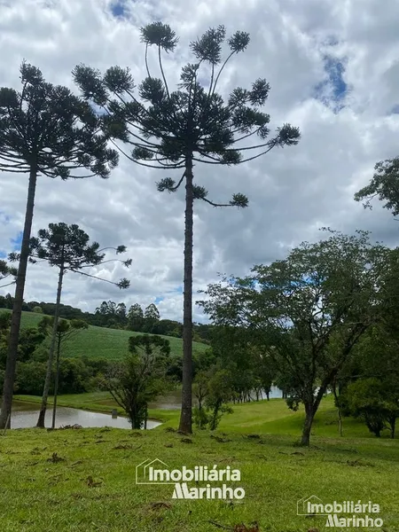 null: 4ª foto da galeria de imagens do imóvel