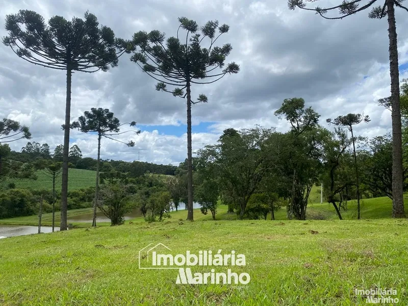 null: 6ª foto da galeria de imagens do imóvel