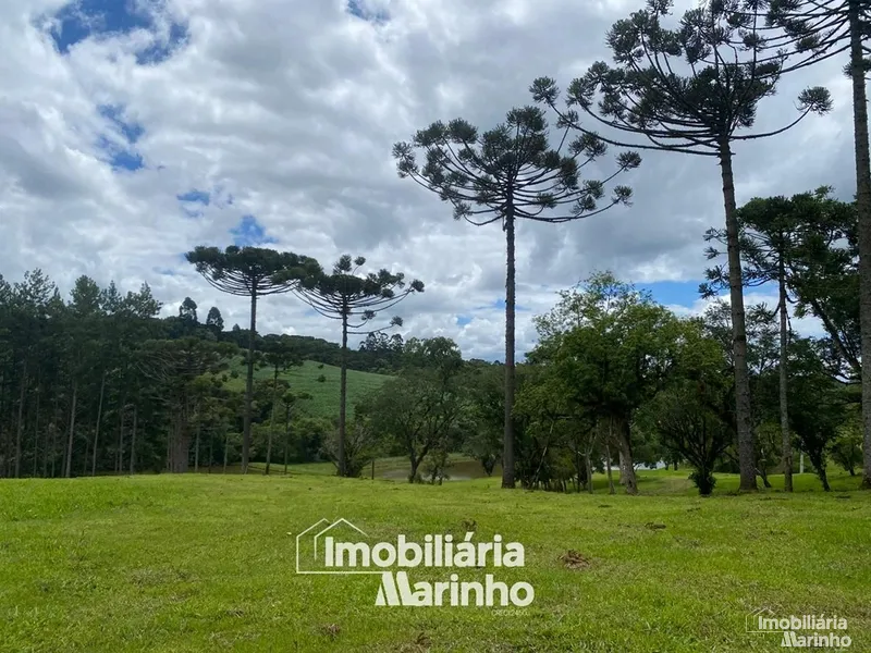 null: 5ª foto da galeria de imagens do imóvel