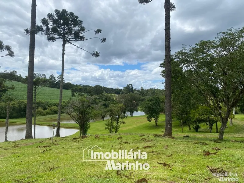 null: 7ª foto da galeria de imagens do imóvel