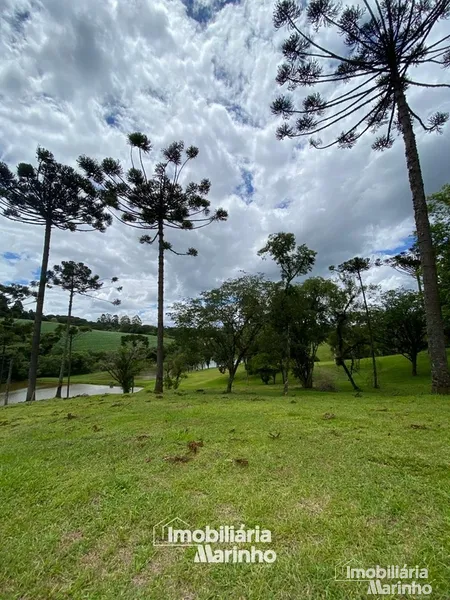 null: 2ª foto da galeria de imagens do imóvel