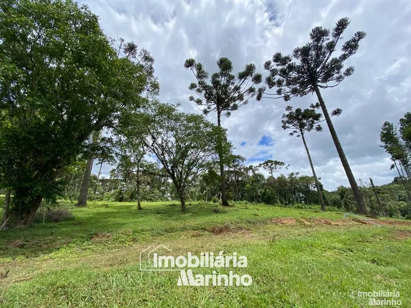 null: 10ª foto da galeria de imagens do imóvel