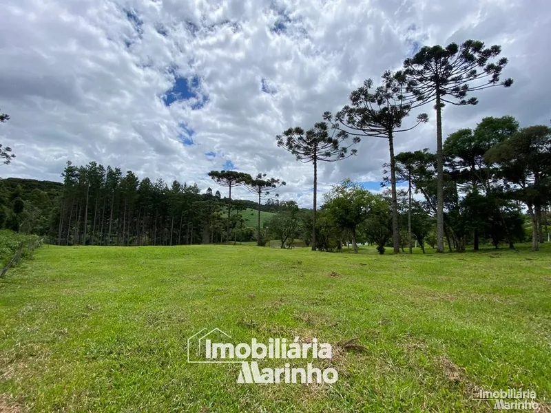 null: 1ª foto da galeria de imagens do imóvel