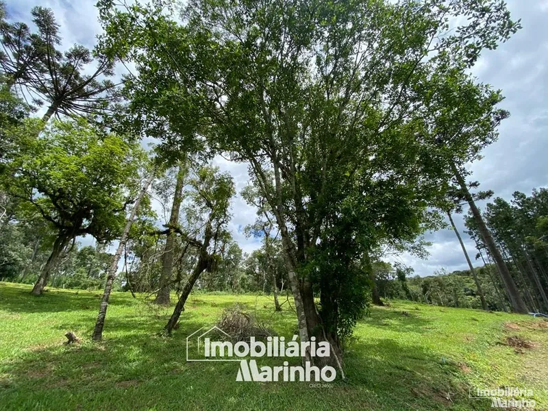 null: 12ª foto da galeria de imagens do imóvel