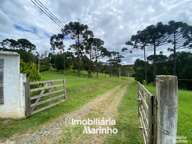 null: 14ª foto da galeria de imagens do imóvel