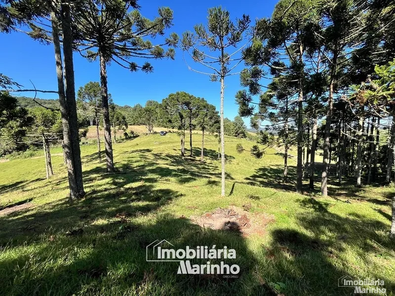 null: 11ª foto da galeria de imagens do imóvel