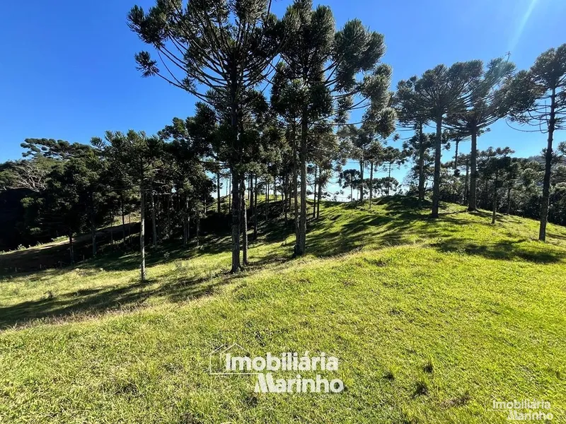 null: 8ª foto da galeria de imagens do imóvel
