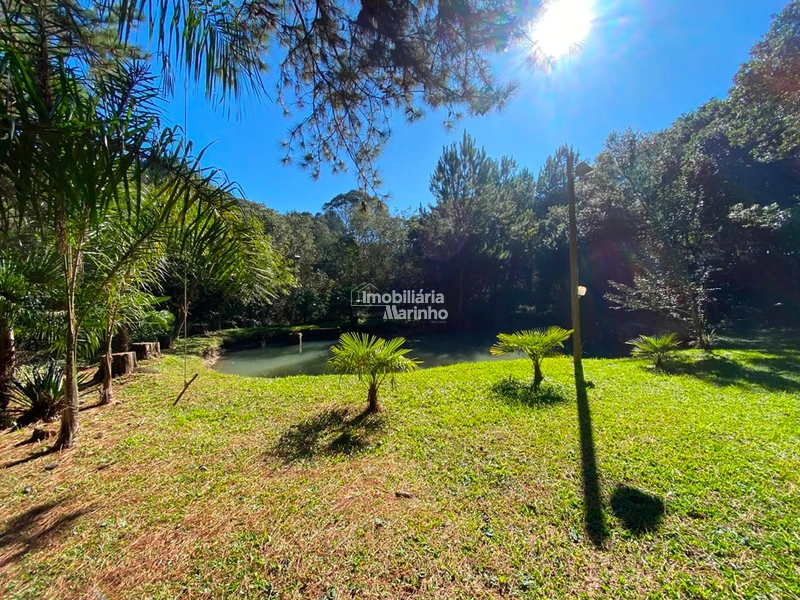 Chácara 36.300 m² com Duas Casas em Rio Negrinho: 5ª foto da galeria de imagens do imóvel