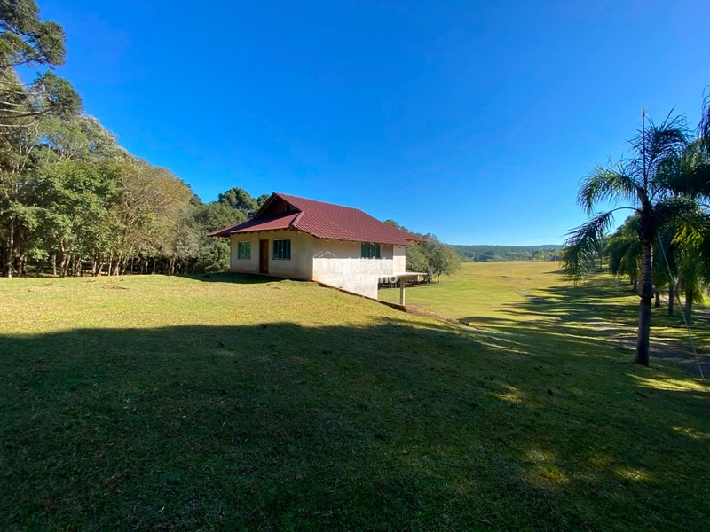 Chácara 36.300 m² com Duas Casas em Rio Negrinho: 16ª foto da galeria de imagens do imóvel