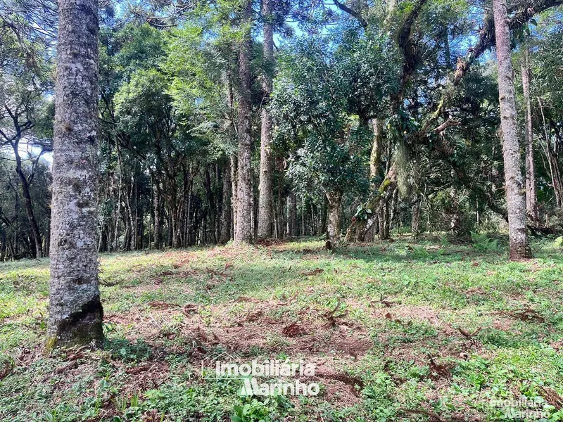 null: 2ª foto da galeria de imagens do imóvel