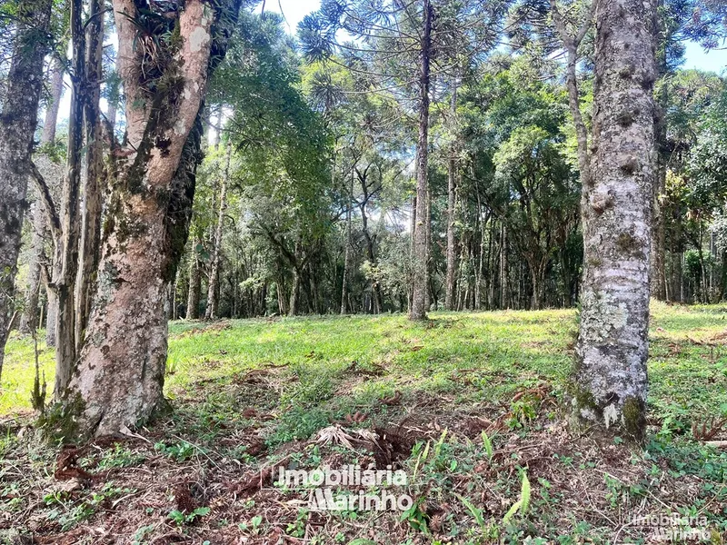 null: 7ª foto da galeria de imagens do imóvel