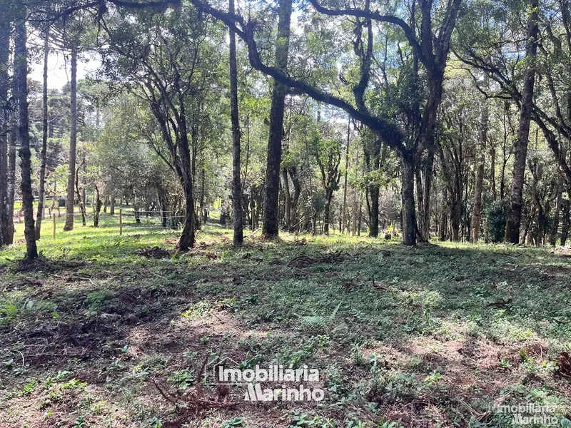 null: 4ª foto da galeria de imagens do imóvel