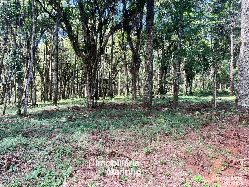 null: 3ª foto da galeria de imagens do imóvel