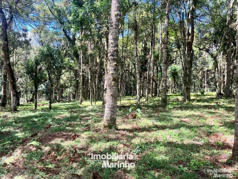 null: 5ª foto da galeria de imagens do imóvel