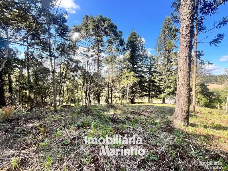 null: 8ª foto da galeria de imagens do imóvel