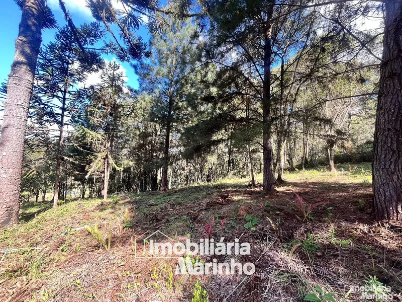 null: 9ª foto da galeria de imagens do imóvel
