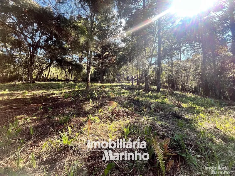 null: 5ª foto da galeria de imagens do imóvel