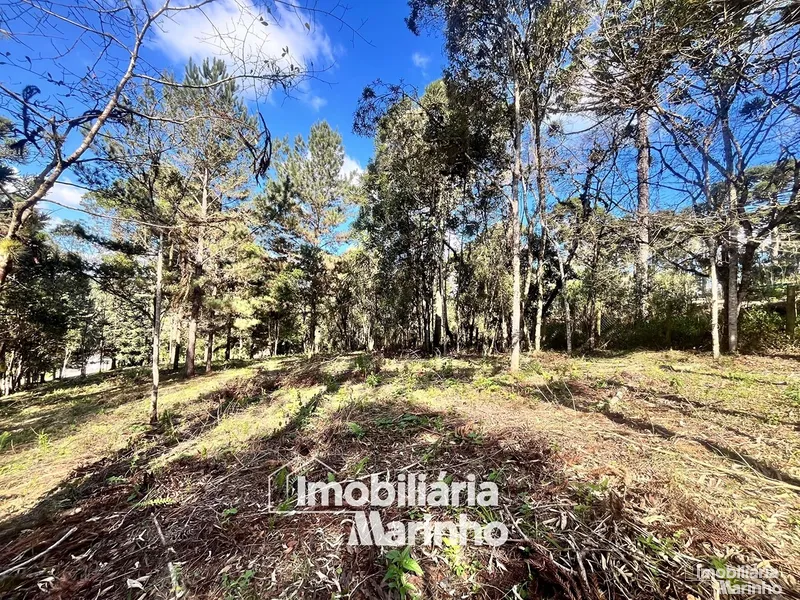 null: 7ª foto da galeria de imagens do imóvel